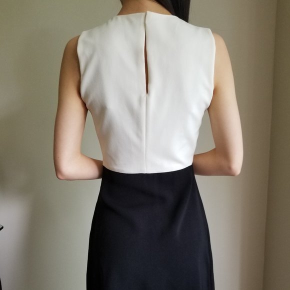 Zara Simple Dress for Work Office Interview - Picture 3 of 4